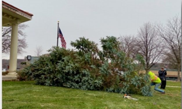 Our Place, December 1, 2021