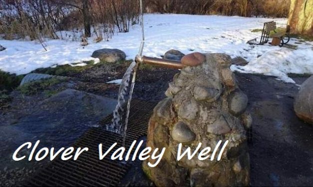 The Bright Side, January 12, 2022