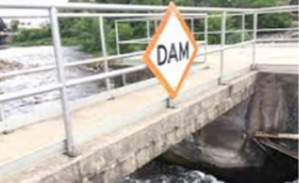 Living Here, January 26, 2022