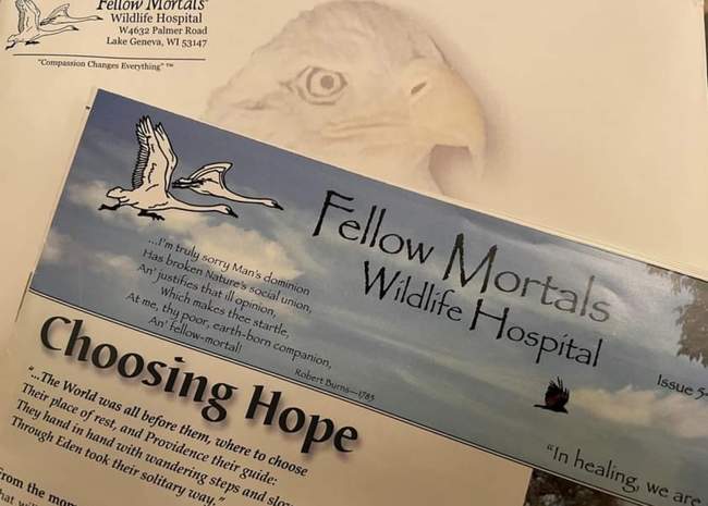 Fellow Mortals Wildlife Hospital