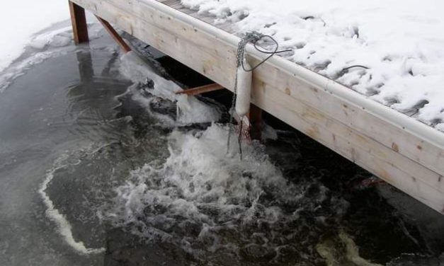 Little Gems, January 26, 2022