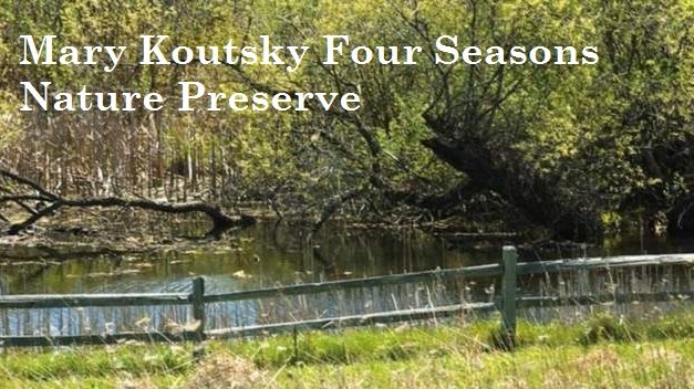 Little Gems, March 2, 2022