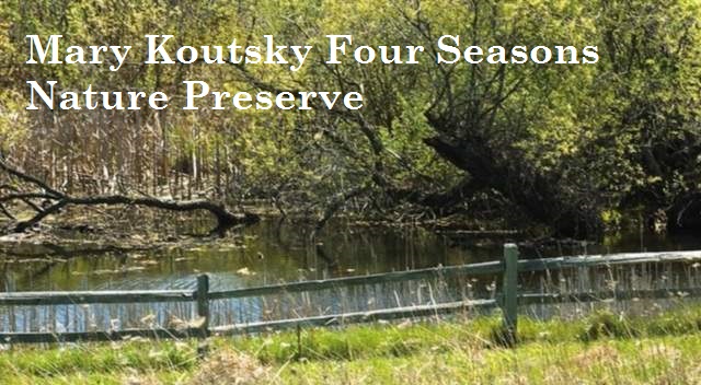 Little Gems, March 2, 2022