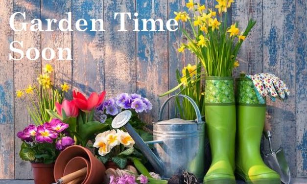 Living Here, March 2, 2022