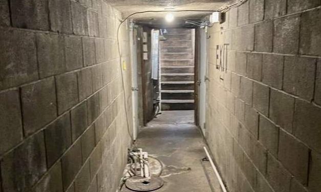 Little Gems, March 23, 2022