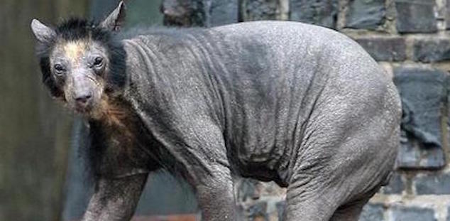 Opinion/Editorial, April 20, 2022