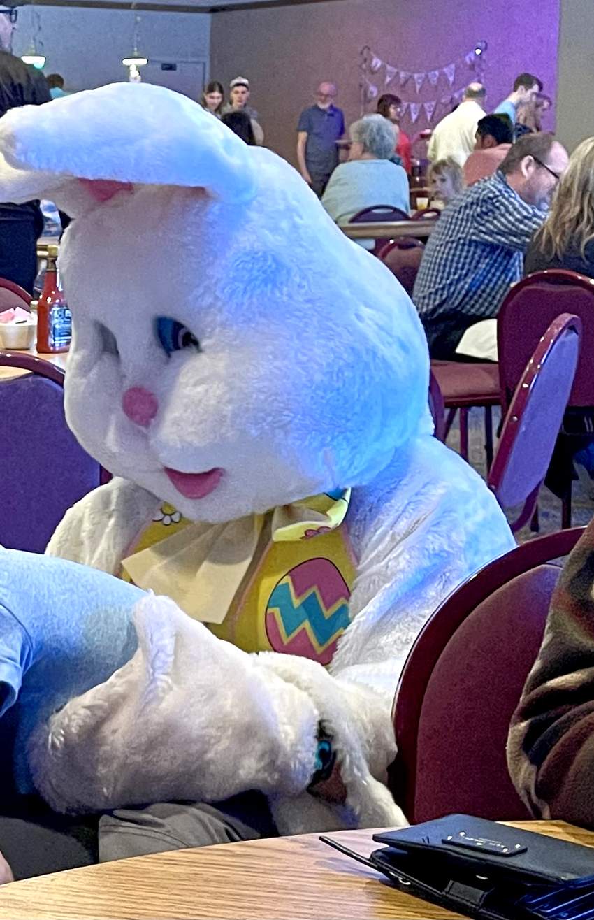 Easter Bunny