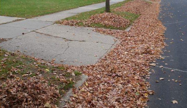 The Bright Side, April 4, 2022