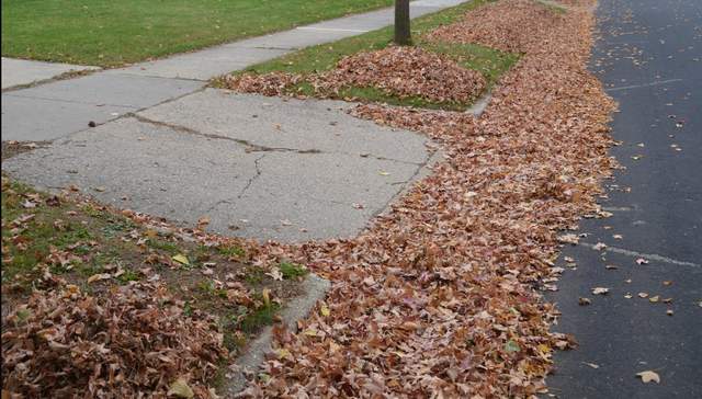 The Bright Side, April 4, 2022