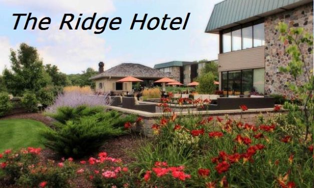 The Bright Side, May 25, 2022