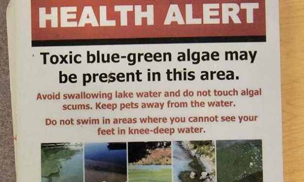 Living Here, June 29, 2022