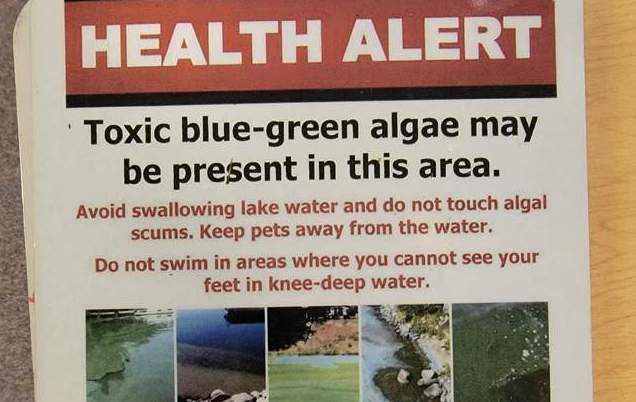 Living Here, June 29, 2022