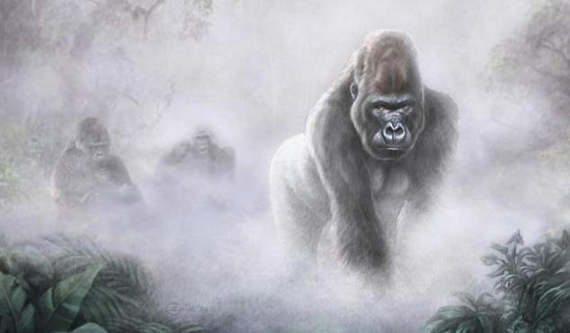 Opinion/Editorial, June 8, 2022