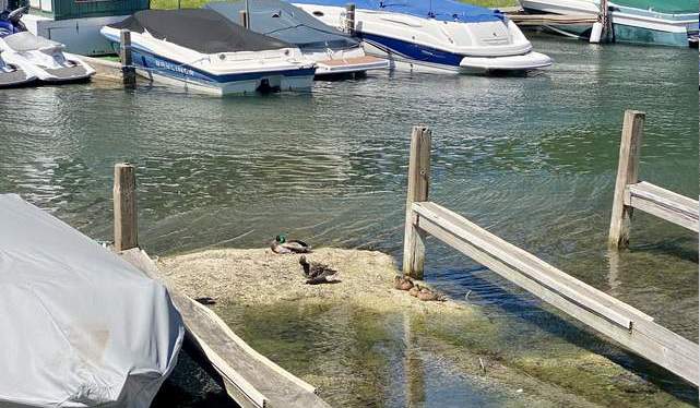 Our Place, February 21, 2024