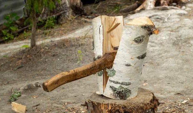 Opinion/Editorial, July 27, 2022