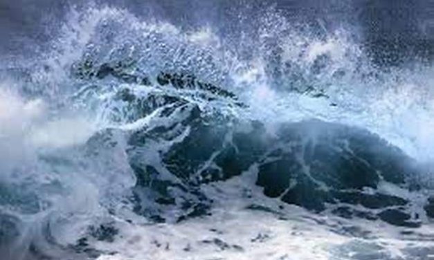 Opinion/Editorial, August 3 2022