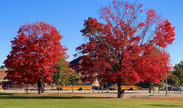 Our Place, October 12, 2022