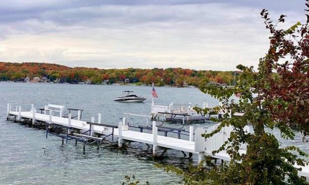 Surprising Stuff, October 19, 2022