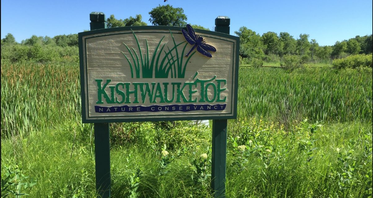 Who’s Who in Walworth County, Harold Friestad