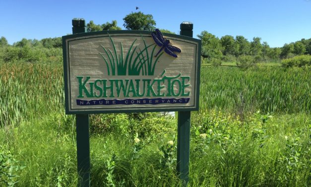 Who’s Who in Walworth County, Harold Friestad