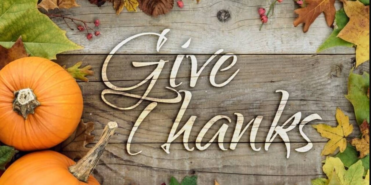 Our Place, November 2, 2022