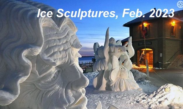 Living Here, November 23, 2022