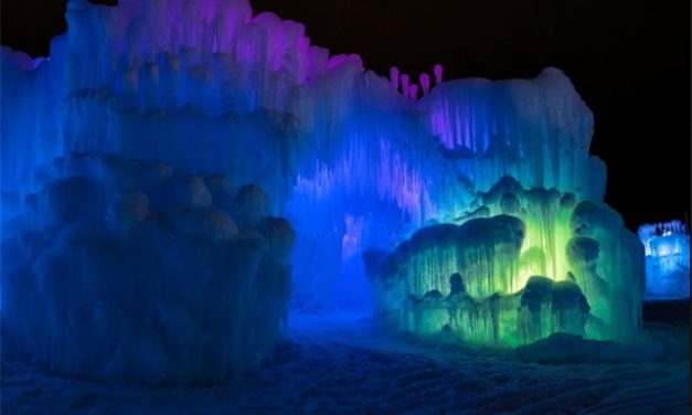 The Bright Side, December 28, 2022