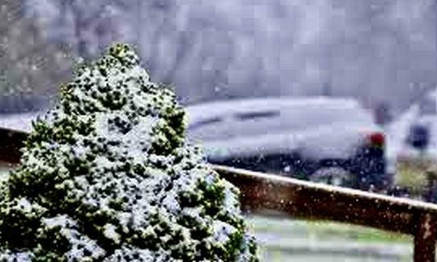 Front Page, December 21, 2022