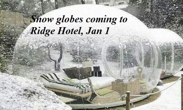 Living Here, December 14, 2022