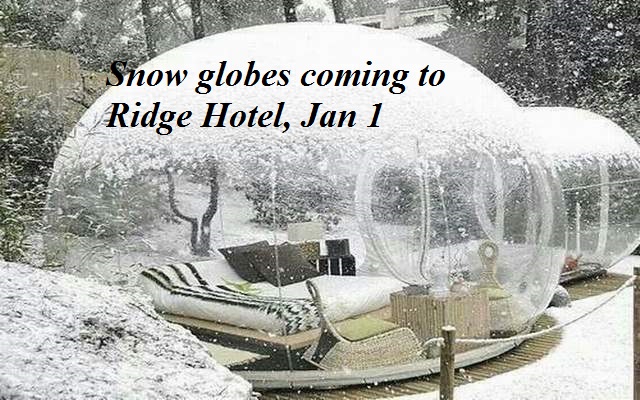 Living Here, December 14, 2022