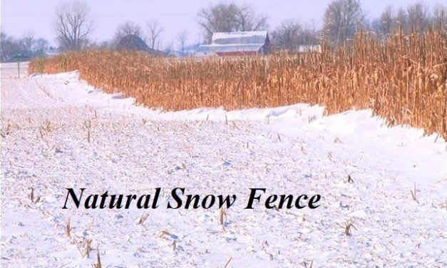 Living Here, February 22, 2023