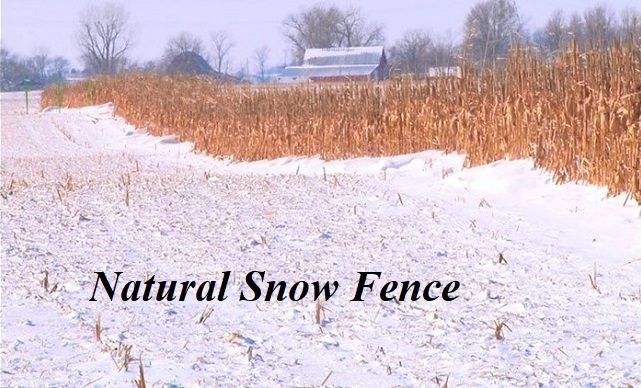 Living Here, February 22, 2023