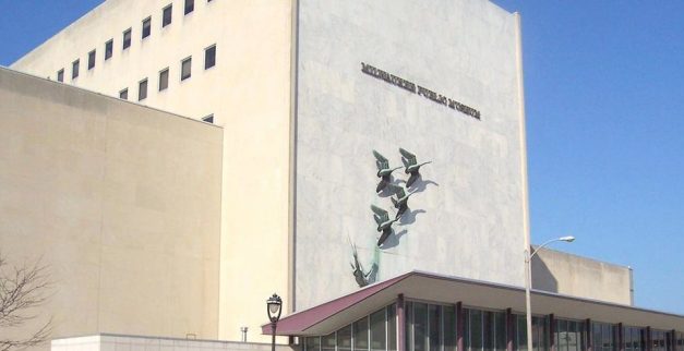 Surprising Stuff, February 1, 2023