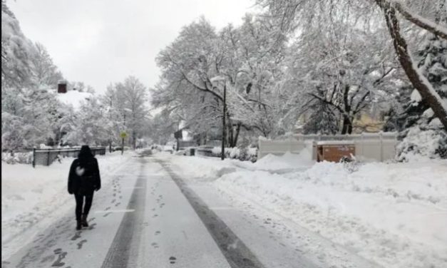 Living Here, December 3, 2025