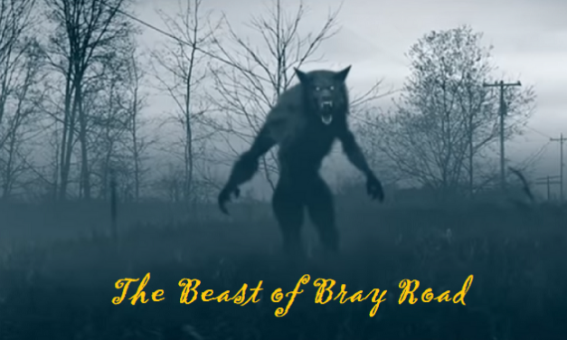 The Bright Side, October 30, 2024