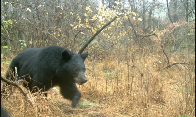 Surprising Stuff, June 21, 2023