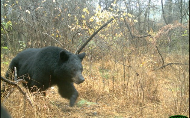 Surprising Stuff, June 21, 2023