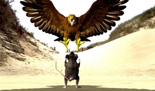 Front Page, July 5, 2023