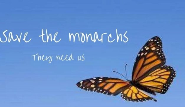 The Bright Side, July 5, 2023