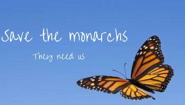 The Bright Side, July 5, 2023