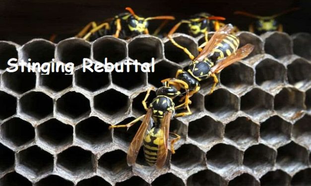 Front Page, July 26, 2023