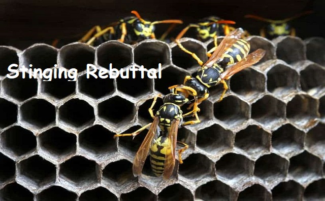 Front Page, July 26, 2023