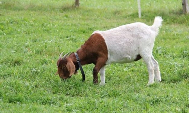 Front Page. July 12, 2023