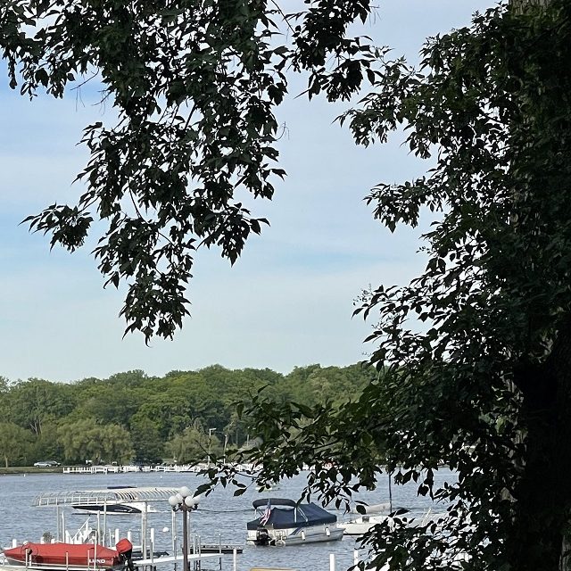 Surprising Stuff, July 19, 2023