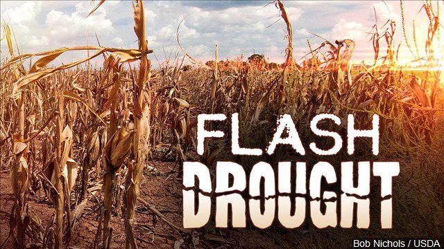 Our Place, August 2, 2023