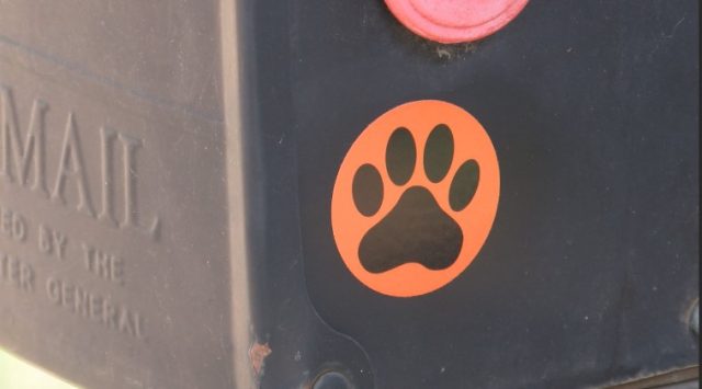 Our Place, August 23, 2023