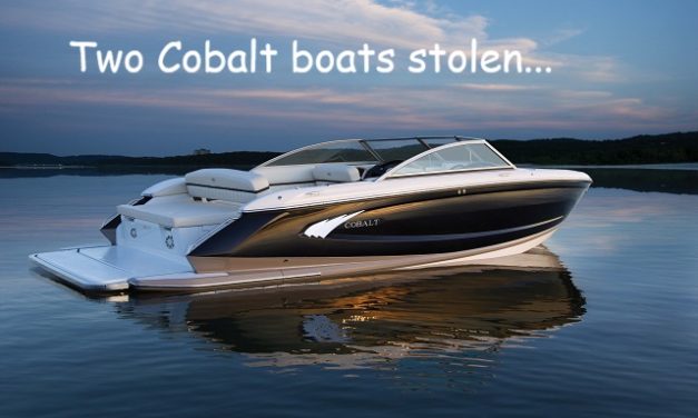 Little Gems, August 23, 2023