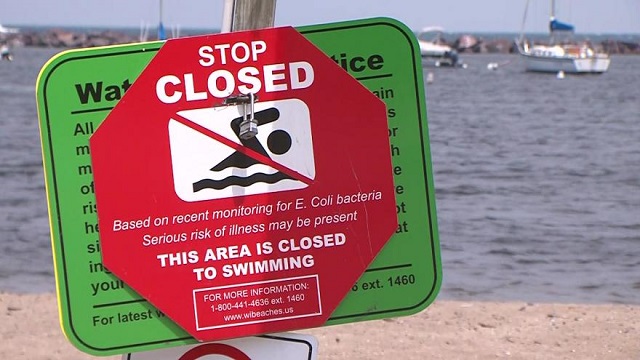 The Bright Side, August 23, 2023