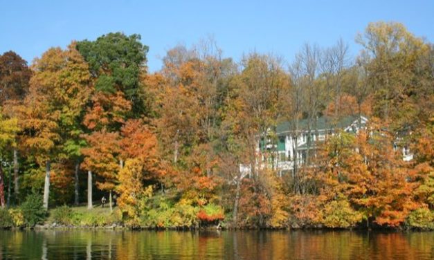 Little Gems, October 9, 2024