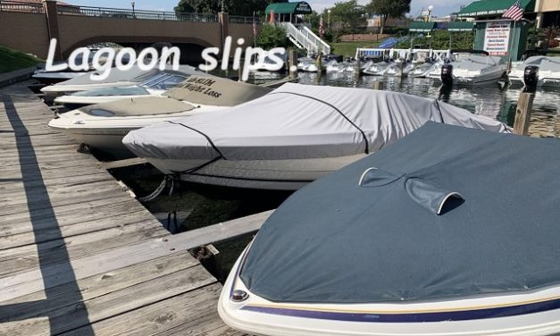 Our Place, June 11, 2025